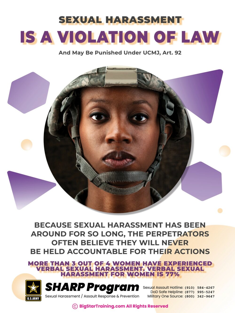 Sexual Harassment Is a Violation of Law (Military Poster) (18x24)