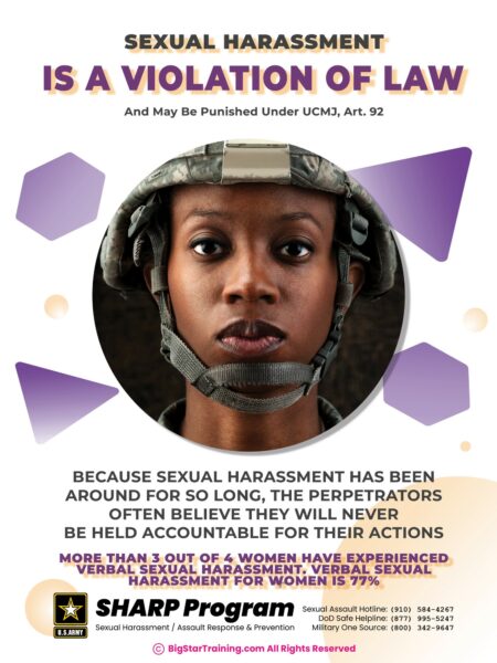 Sexual Harassment Is a Violation of Law (Military Poster) (18x24)